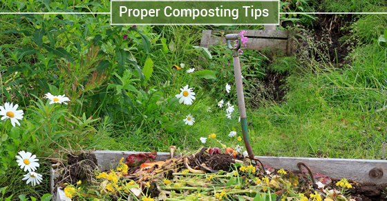 Compost pile