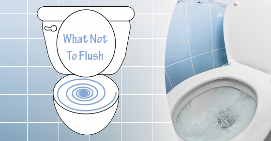 Flushing Toilet