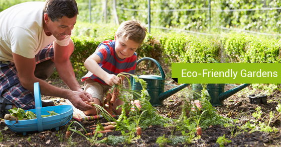 Creating Eco-Friendly Garden