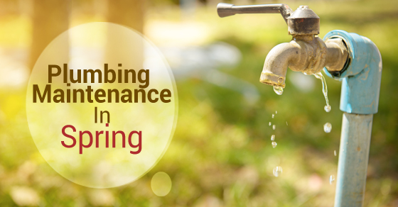 Plumbing Maintenance In Spring